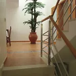 Falesia Casa Da Sobreira 度假居 *