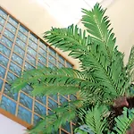 度假居 Falesia Casa Da Sobreira 阿尔布费拉