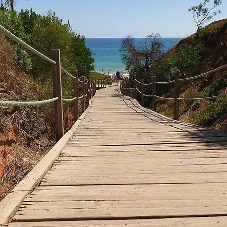 Falesia Casa Da Sobreira 別荘