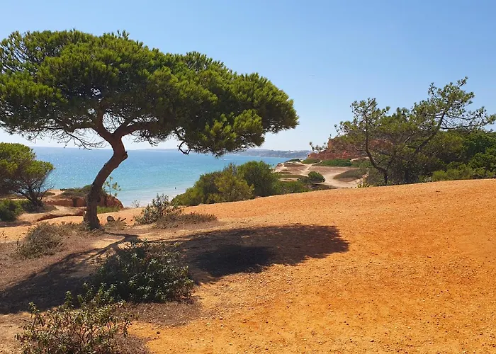 Falesia Casa Da Sobreira 펜션 *